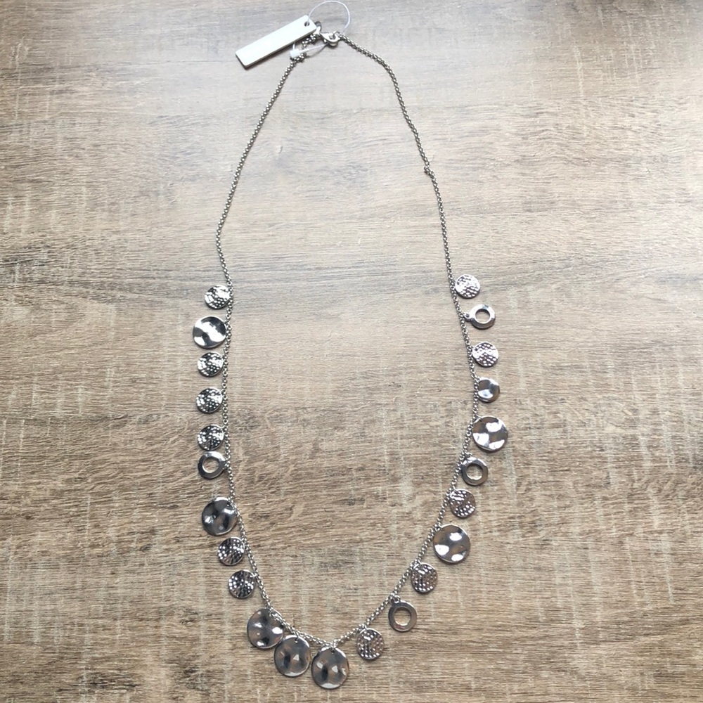Ann Taylor Long Silver Necklace
